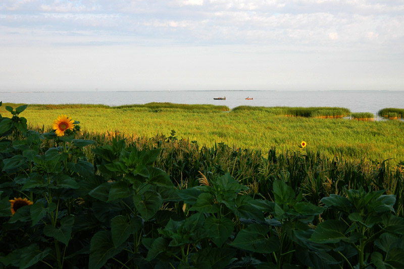 Chagan Lake in China's Jilin - China.org.cn