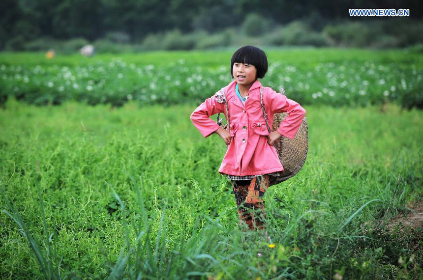 Children's life back to normal in quake-hit area- China.org.cn