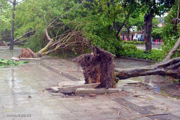 Guangdong battered as typhoon makes landfall- China.org.cn