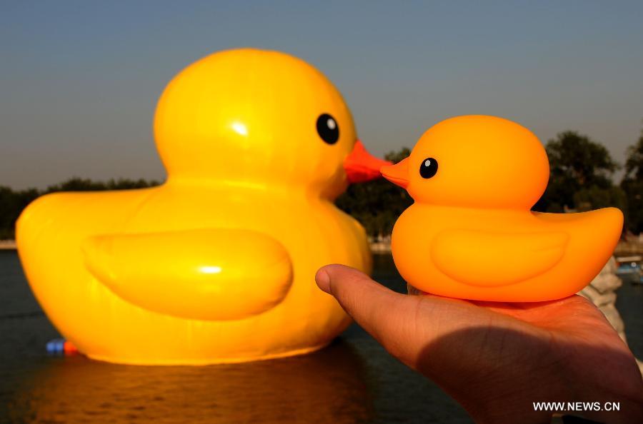 Giant rubber duck displayed at Summer Palace - China.org.cn