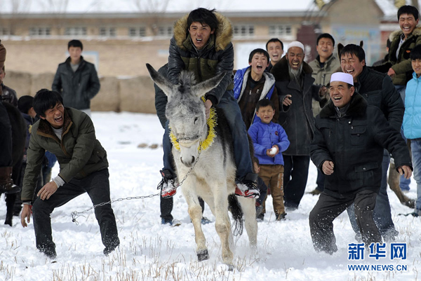 Donkey riding competition in Ningxia _ China.org.cn