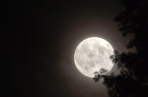 People enjoy 'supermoon' in Qingdao _ China.org.cn