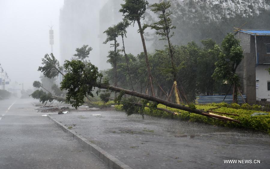 Typhoon Kaimaegi hits China's Guangxi - China.org.cn