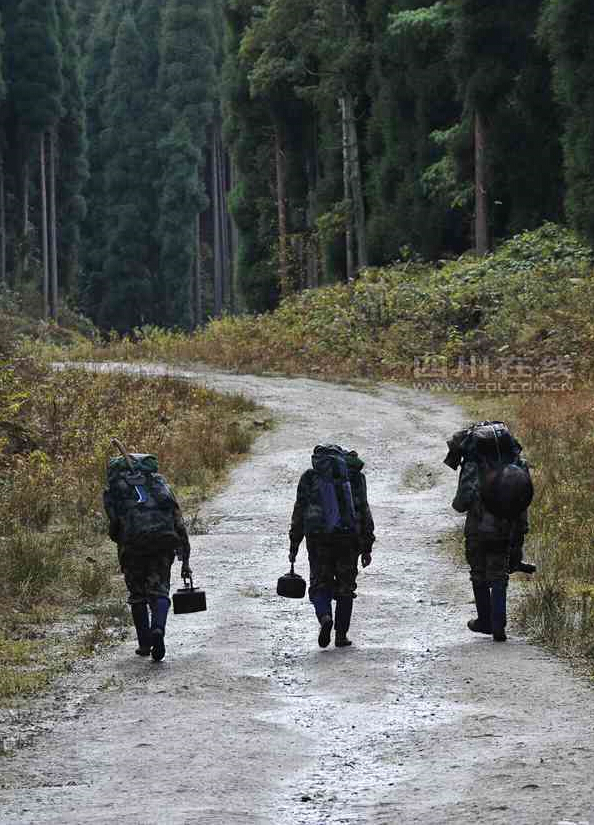 Rangers patrol nature reserve in Sichuan- China.org.cn