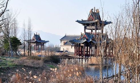 Reeds rippling in the wind - China.org.cn
