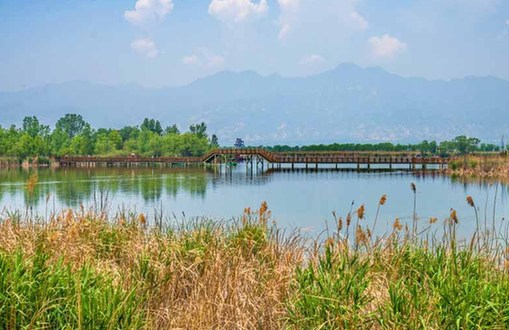 Wild Duck Lake: The only wetland nature reserve for birds in Beijing ...