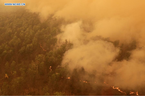 Indonesia fighting most massive forest fire - China.org.cn