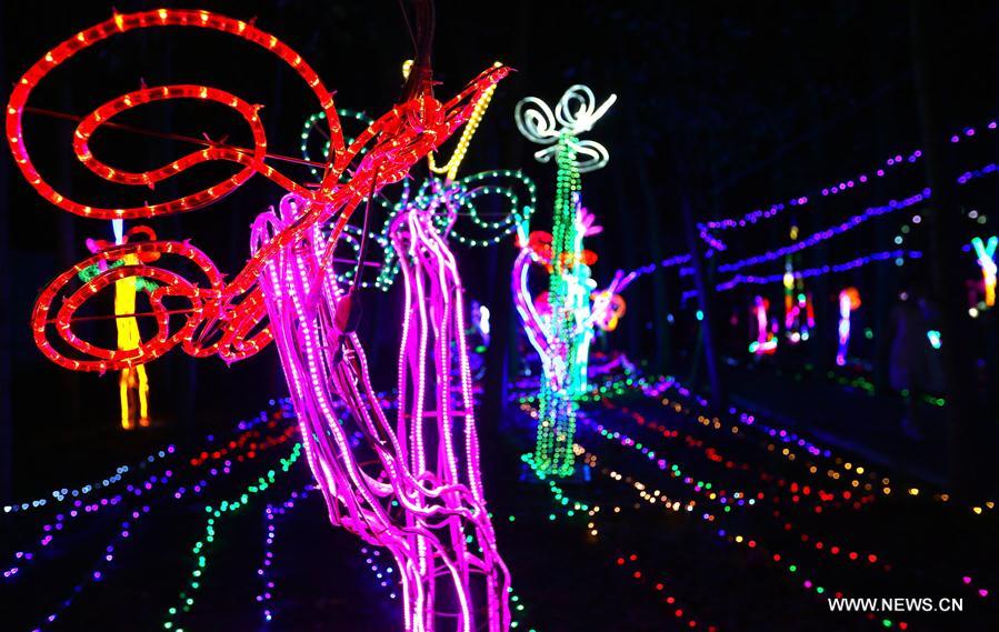 LED light festival held in China's Shandong- China.org.cn