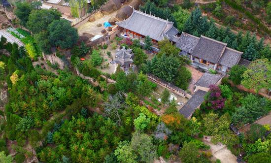 Twin brothers spend 48 years greening land- China.org.cn