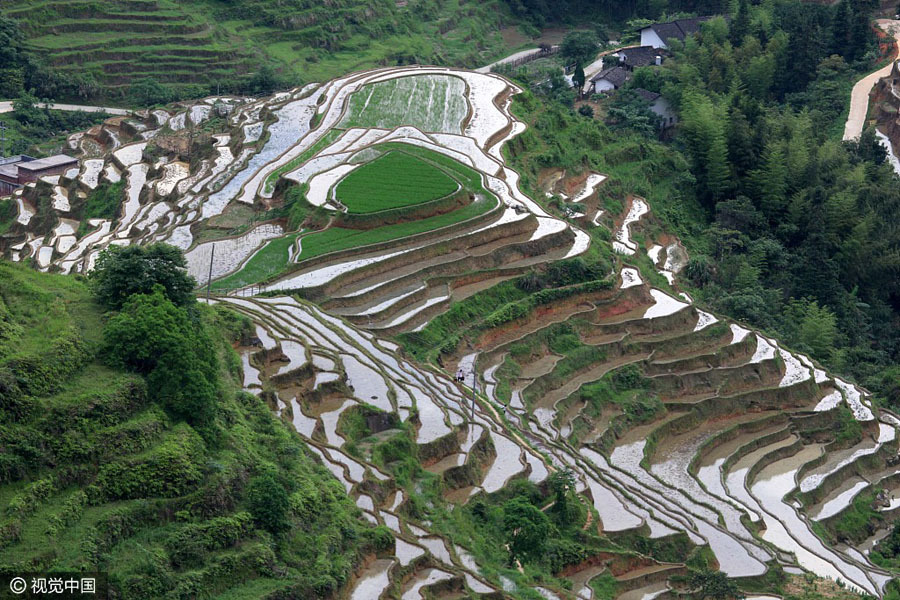 Top 10 most beautiful terraces in China - China.org.cn