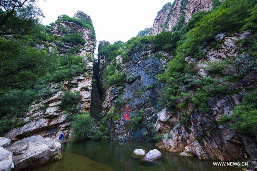 Scenery of Limutai scenic spot in N China's Tianjin - China.org.cn