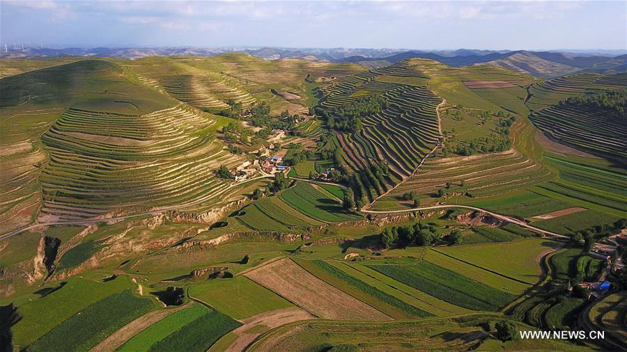 Scenery of terraces in NW China's Ningxia - China.org.cn