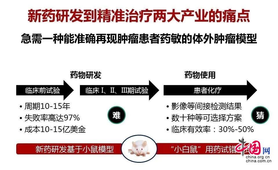 肿瘤新药试验