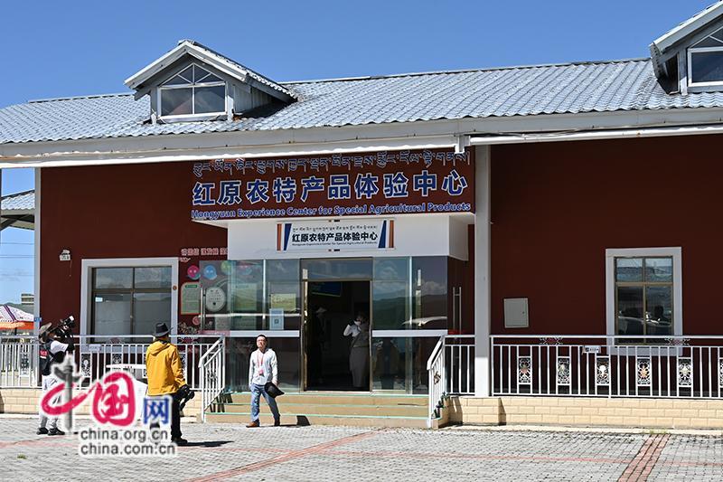 红原人才市场
