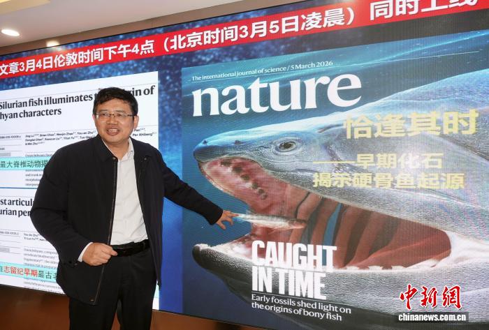 中国团队“软硬兼施”探源“从鱼到人” 实证华南为“东方摇篮”