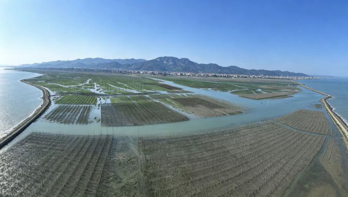 乘坐高铁赴山河之旅，跟着课本体悟诗与远方