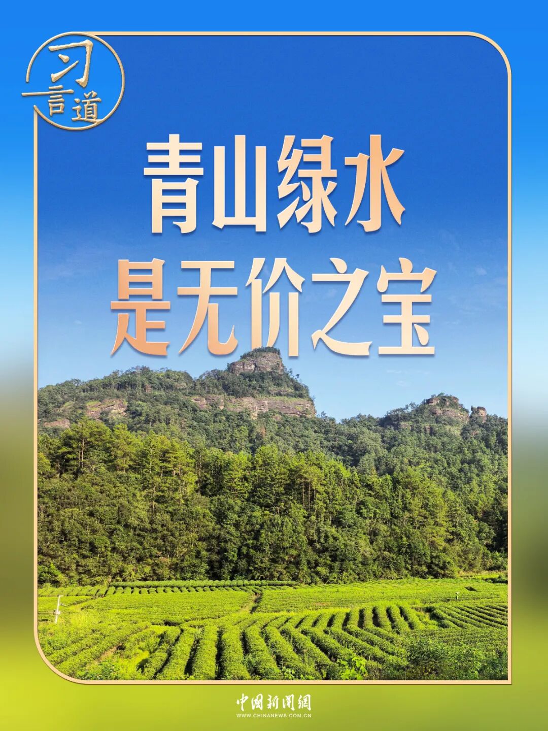 习言道丨走进茶园，习近平强调做好这篇“大文章”