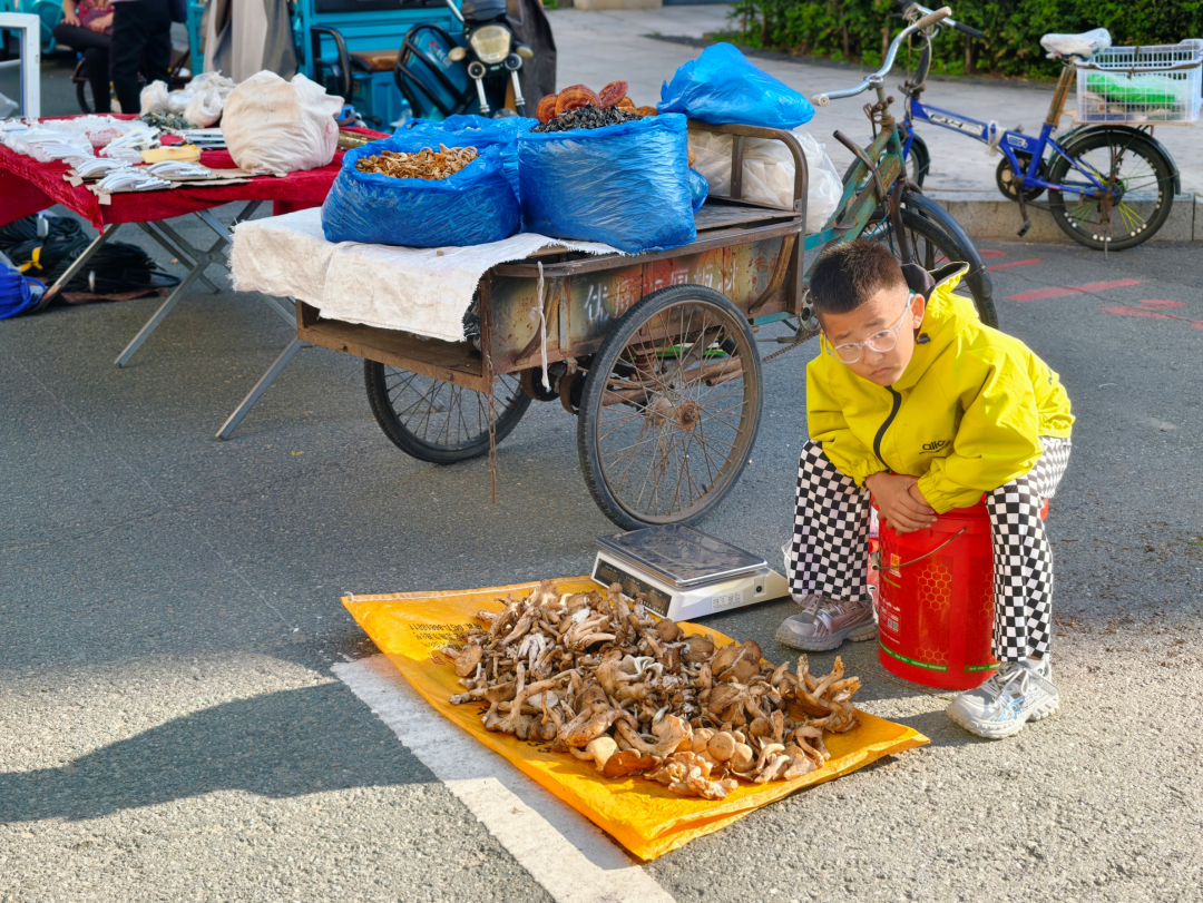 
上海新华医院黄牛号贩子票贩子代网上预约代挂号电话图集 | 感受一座边境小城的烟火日常