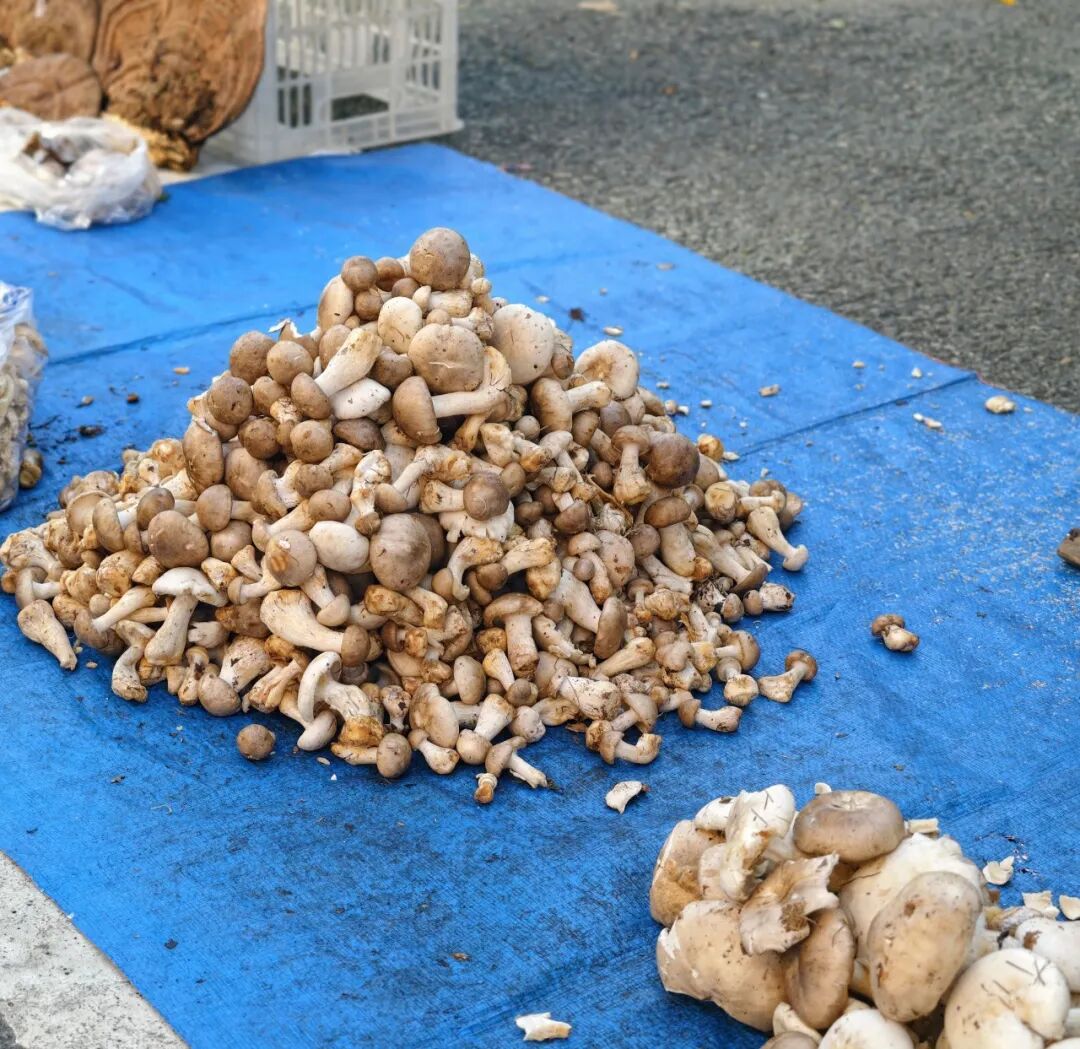 
上海新华医院黄牛号贩子票贩子代网上预约代挂号电话图集 | 感受一座边境小城的烟火日常
