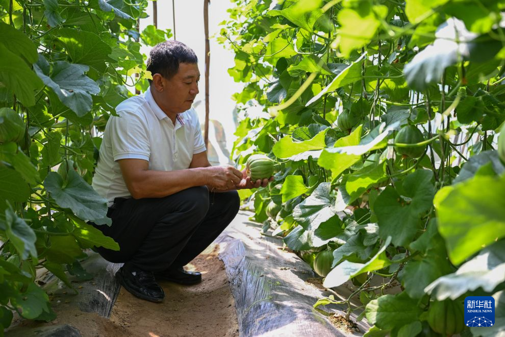 
广州中医药大学第三附属医院黄牛号贩子票贩子代网上预约代挂号电话长征精神新画卷丨陕西吴起：从长征落脚点到绿色家园