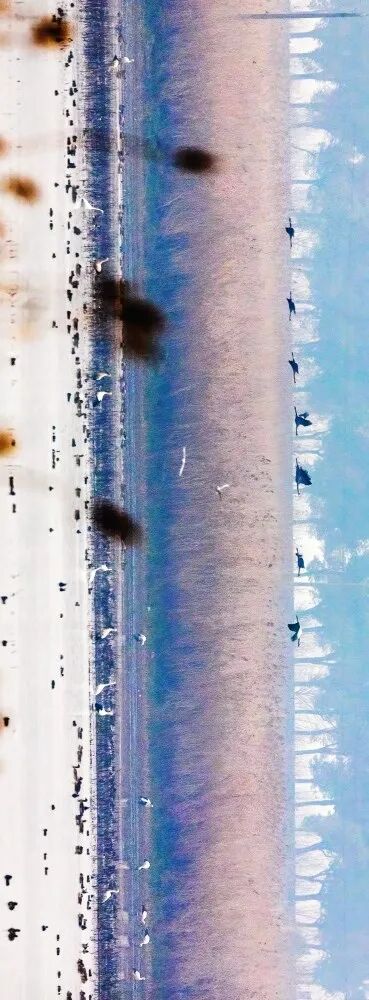
中国中医科学院广安门医院陈瑞雪医生黄牛预约代挂号电话开局之年看中国·潮涌荆楚丨一只东方白鹳的长江之旅
