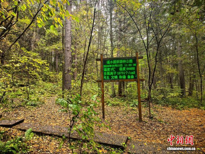 
中山大学附属第六医院方聪医生黄牛预约代挂号电话中国最北高铁首个黄金周：高寒铁道打通小兴安岭旅游新通道