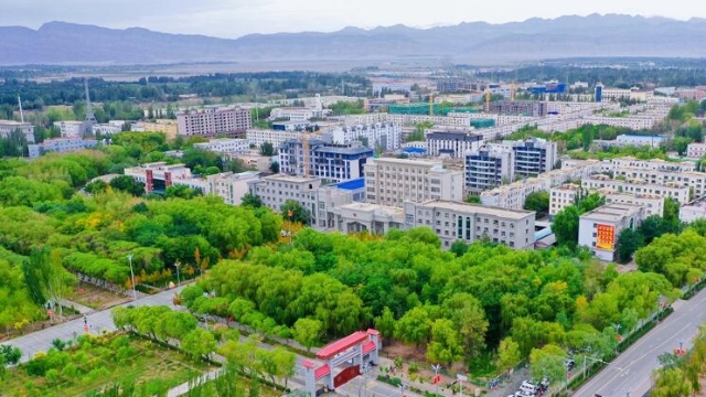 Xinjiang: Kalpin auf dem Weg zum Aufschwung_China.org.cn