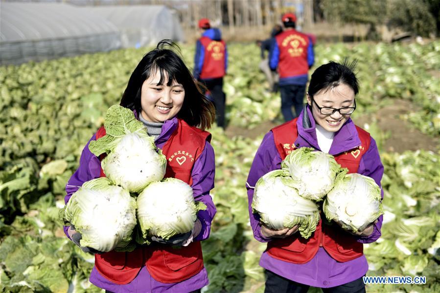 Meet volunteers across China- China.org.cn