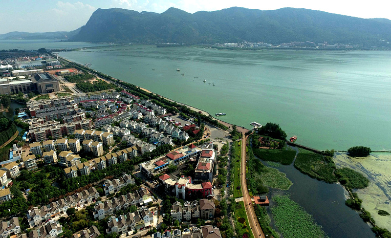 Plateau lake fish making big comeback in Yunnan- China.org.cn