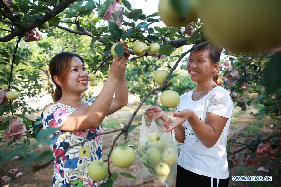 Tourists visit Neiqiu County of China's Hebei - China.org.cn