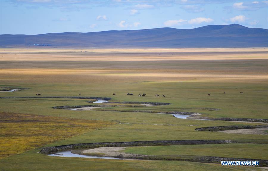 Scenery of Ulgai Grassland in Xilingol, N China's Inner Mongolia ...