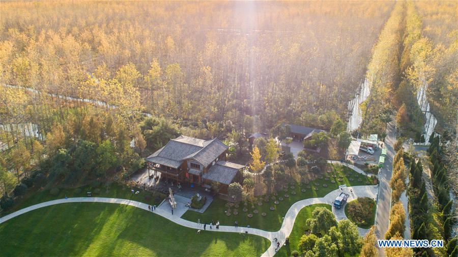 Aerial views of Binhu forest park in Hefei, China's Anhui - China.org.cn