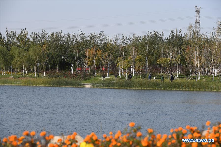 View of wetland park in Tianjin - China.org.cn