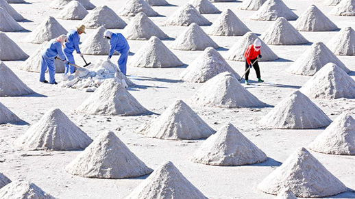 A glimpse of saltworks in Gansu- China.org.cn