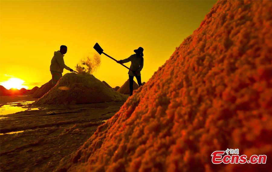 A glimpse of saltworks in Gansu- China.org.cn