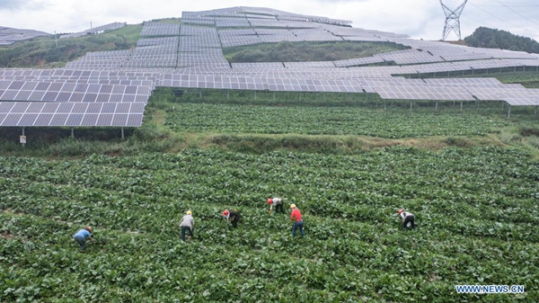 China to accelerate improvement of rural living environment- China.org.cn