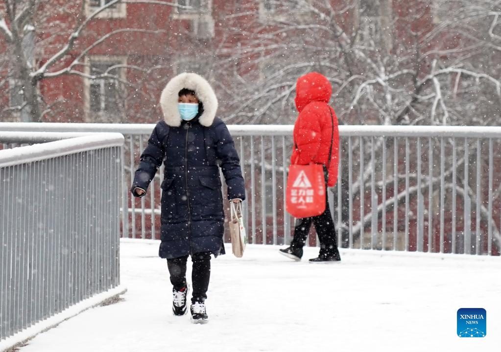 Snowfall to hit parts of northeastern China- China.org.cn