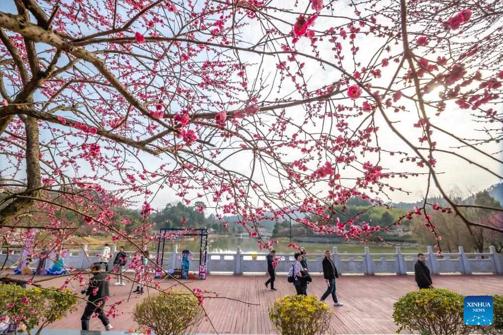 People enjoy blooming flowers at 'Jingzhe' across China- China.org.cn