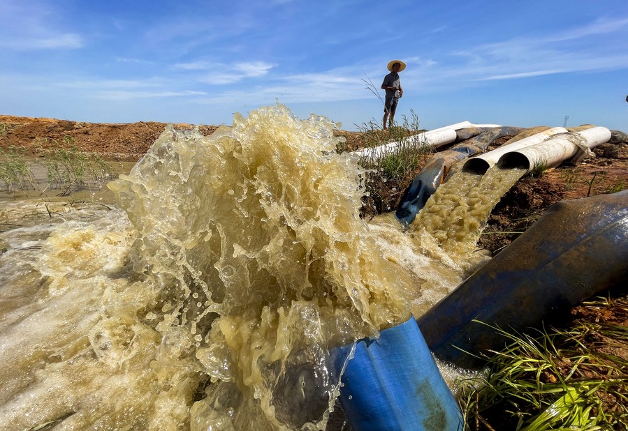 Major rice-producing province revs up drought relief efforts- China.org.cn