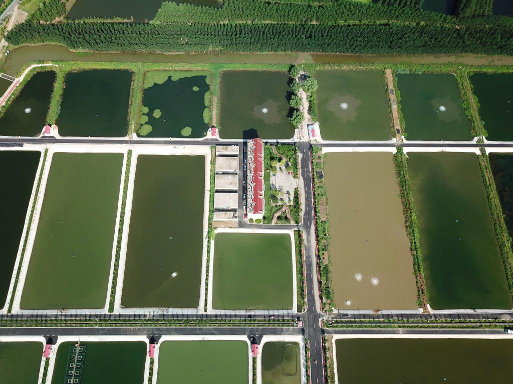 Aerial view of fishery industrial park in east China's Shandong- China ...