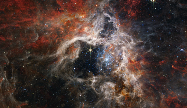 NASA's Webb telescope captures image of Tarantula Nebula - China.org.cn