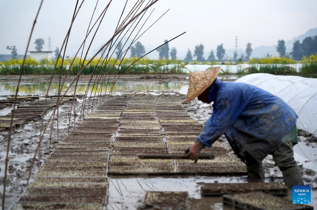 Farmers busy with farm work around Qingming across China- China.org.cn