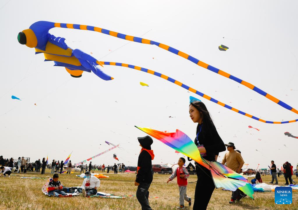 Kite flying competition kicks off in Weifang, E China- China.org.cn