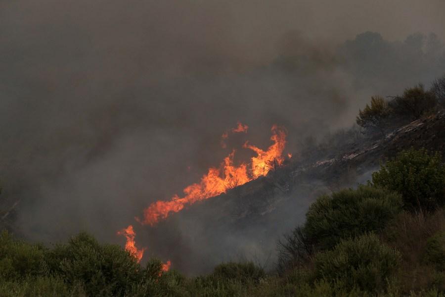 Heatwaves rage in Mediterranean as Greece, Algeria battle wildfires ...