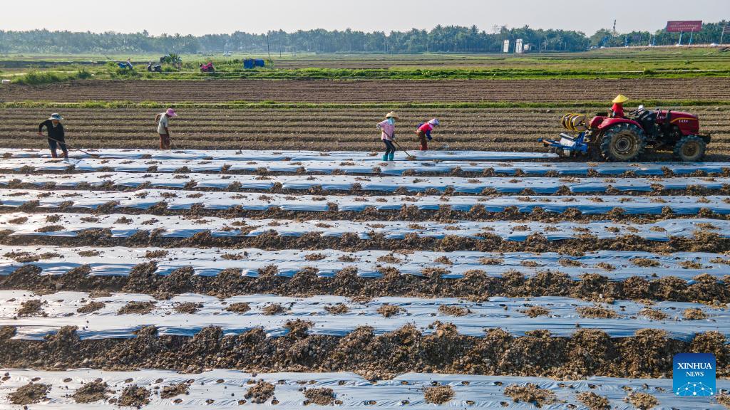 Farmers busy with agricultural activities across China- China.org.cn