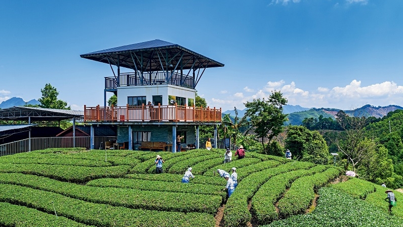 Beyond the miracle: global voices on China's rural revitalization ...